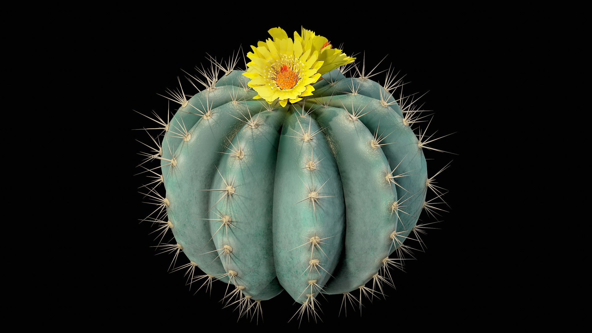Medium Balloon Cactus Blooming PBR 3D model https://p.turbosquid.com/ts-thumb/3i/6VREPK/ri/r_viewport_011/png/1683898366/1920x1080/fit_q87/a0f32e277f9b5fa962158471685e89430f6fe3ac/r_viewport_011.jpg