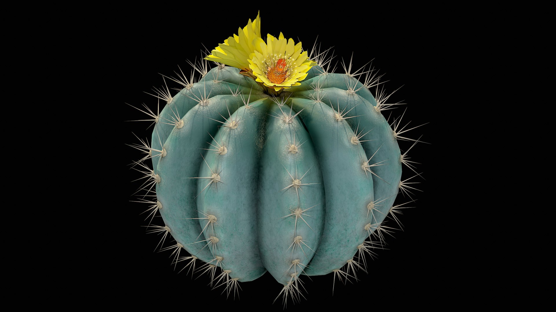 Medium Balloon Cactus Blooming PBR 3D model https://p.turbosquid.com/ts-thumb/3i/6VREPK/tv/r_viewport_008/png/1683898364/1920x1080/fit_q87/8666ca85e8511968d9d0b9f93a1f664e2a48f65e/r_viewport_008.jpg