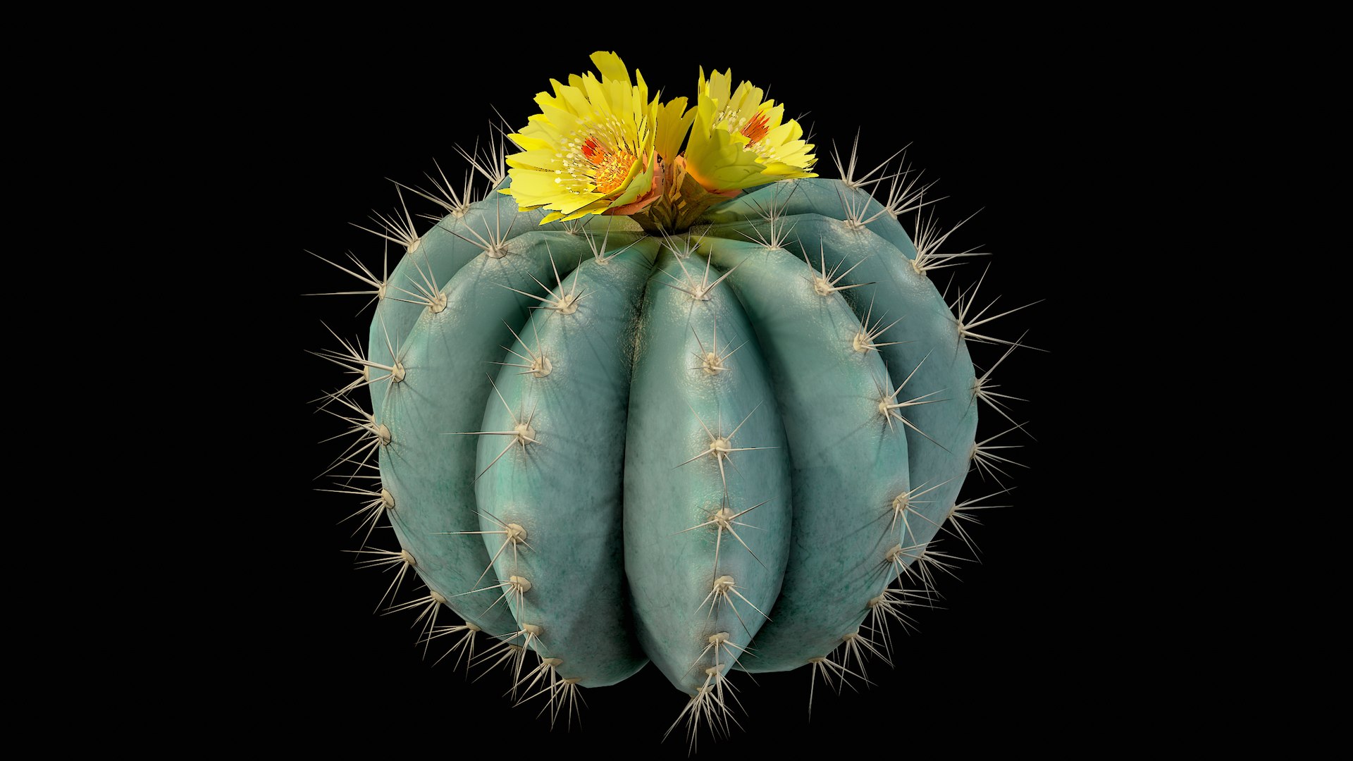 Medium Balloon Cactus Blooming PBR 3D model https://p.turbosquid.com/ts-thumb/3i/6VREPK/ud/r_viewport_010/png/1683898365/1920x1080/fit_q87/56e1f98e48f17096c5e6dd1df6365cad6c3549d5/r_viewport_010.jpg