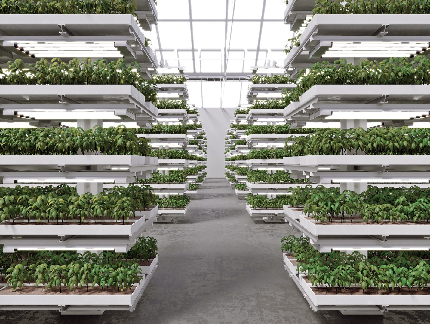 3D model GreenHouse https://p.turbosquid.com/ts-thumb/3i/E6lNnf/A6/greenhouse_02/jpg/1733254560/1920x1080/fit_q87/2a4fd58ed6d79aaa0e0511d9dd6827f4e06a6c5d/greenhouse_02.jpg