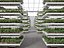 GreenHouse