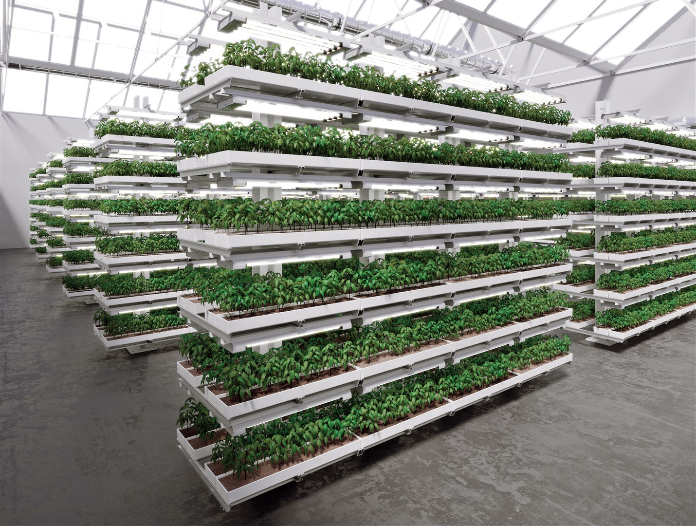 3D model GreenHouse https://p.turbosquid.com/ts-thumb/3i/E6lNnf/Kp/greenhouse_01/jpg/1733254559/1920x1080/fit_q87/a6284907c55acca97a3cbb4ac2c3a424b6e074fb/greenhouse_01.jpg
