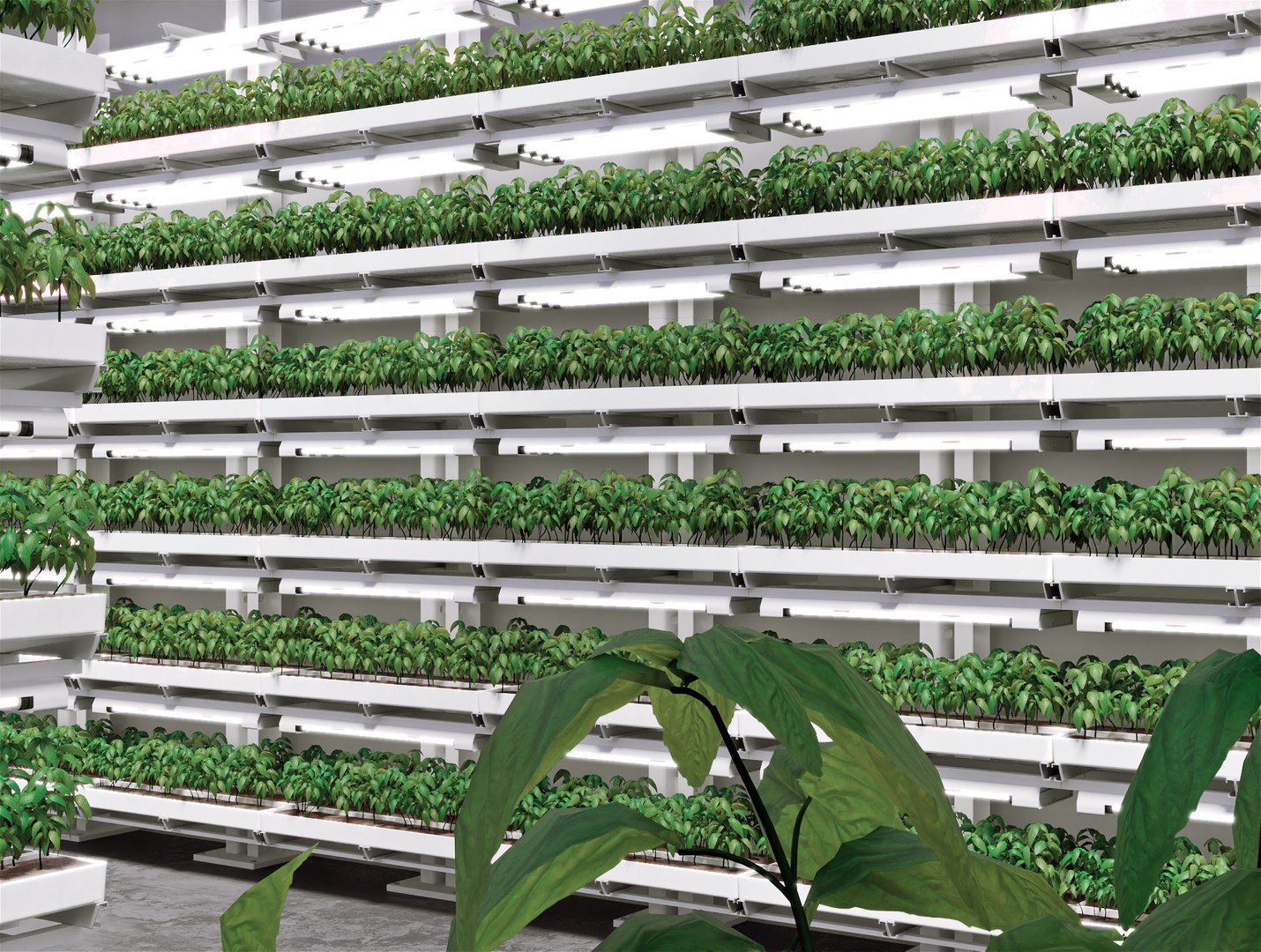 3D model GreenHouse https://p.turbosquid.com/ts-thumb/3i/E6lNnf/LF/greenhouse_04/jpg/1733254561/1920x1080/fit_q87/e706e912fee70e19da036ada74d17b8443f2b535/greenhouse_04.jpg