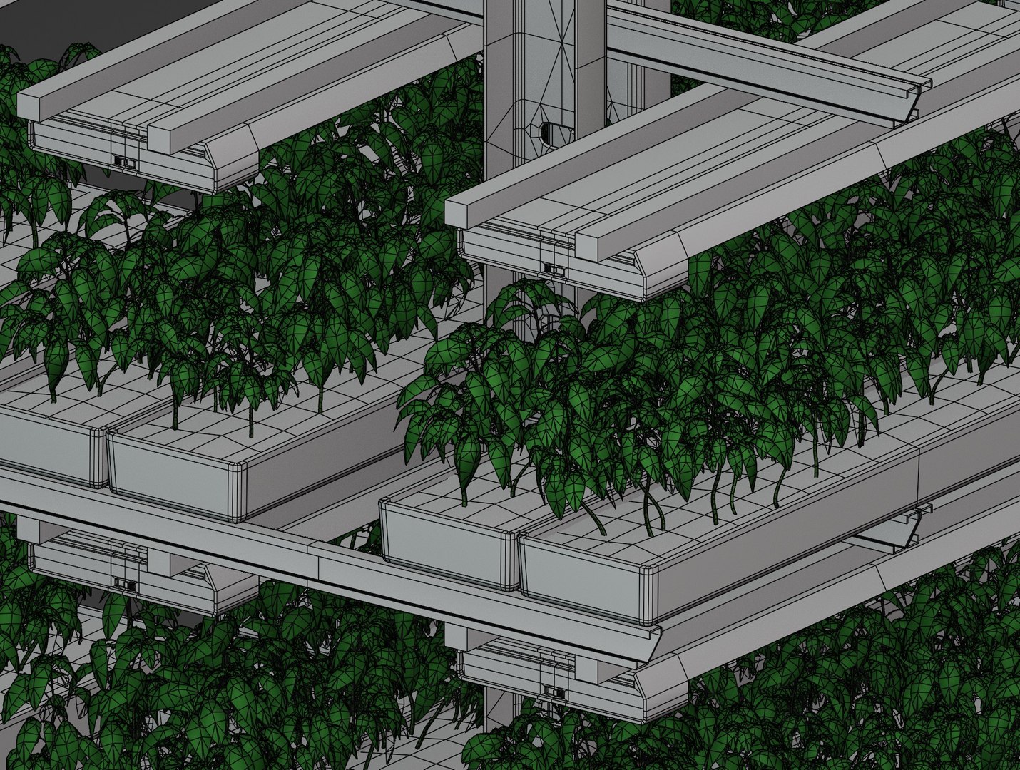 3D model GreenHouse https://p.turbosquid.com/ts-thumb/3i/E6lNnf/MX/wire/jpg/1733254562/1920x1080/fit_q87/ce1cca329666f5e1c7863169749ce10e25cc0dca/wire.jpg