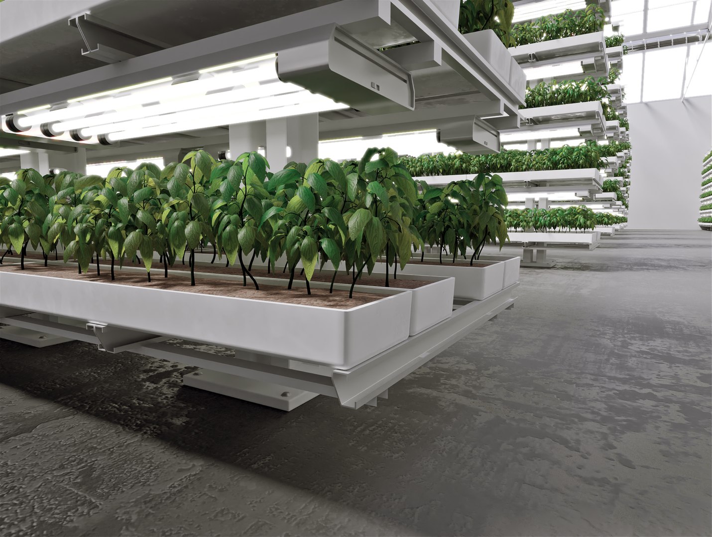 3D model GreenHouse https://p.turbosquid.com/ts-thumb/3i/E6lNnf/e2/greenhouse_05/jpg/1733254561/1920x1080/fit_q87/ab45dee813d44c5dd25a8caae1bf0787476dbf84/greenhouse_05.jpg