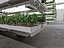 GreenHouse