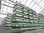 GreenHouse