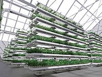 GreenHouse