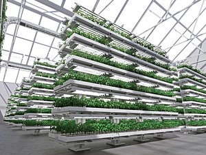 GreenHouse