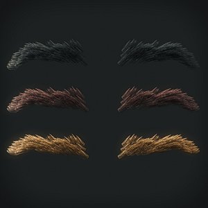 eyebrows 12 3D model