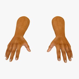 3D European Man Hands Base Pose