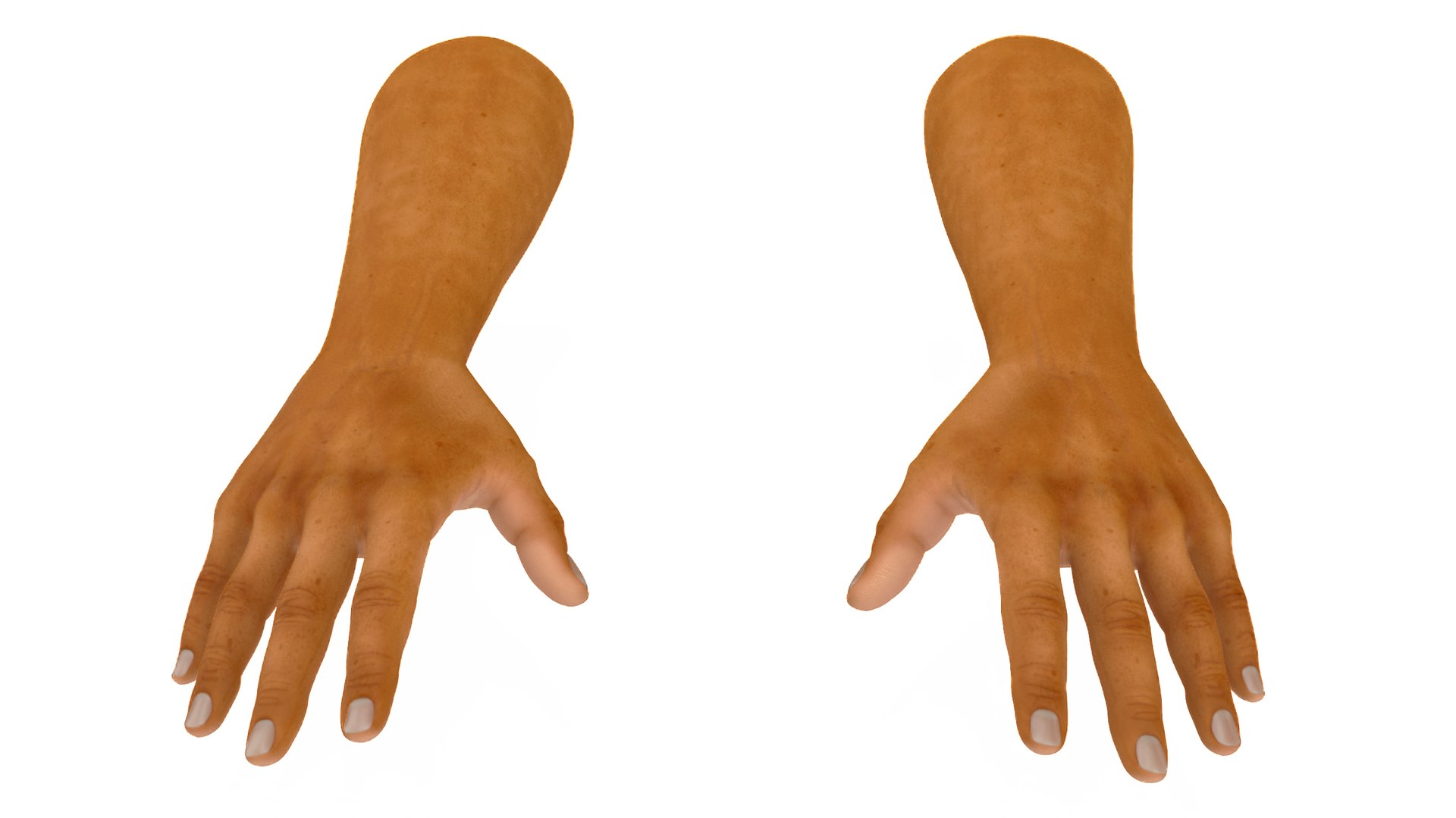 European Man Hands Base Pose 3D model preview