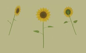 3D model Sunflower