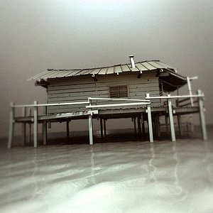 Cajun_SwampHouse1.max