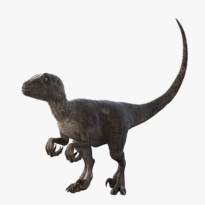 Velociraptor Rigged
