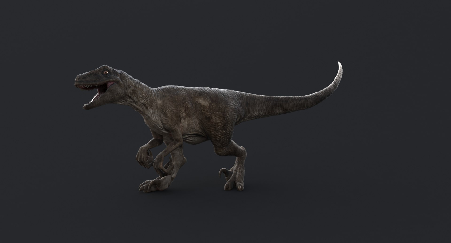 realistic velociraptor rigged raptor 3d max