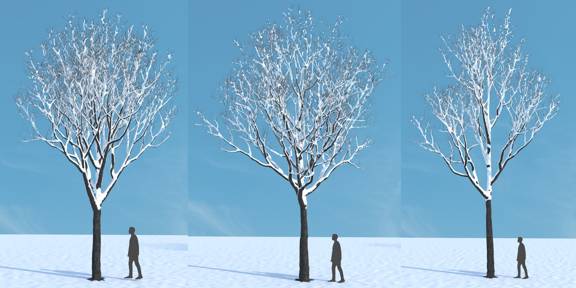 tree 3D https://p.turbosquid.com/ts-thumb/3j/7S9MTI/1lwPvBYA/elevn_tree_iv_14b/jpg/1583522100/1920x1080/fit_q87/32afdd53853fc6f6be777c3339de1ea5969a07c9/elevn_tree_iv_14b.jpg