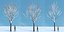 Eleven Trees 4 (+Growfx)