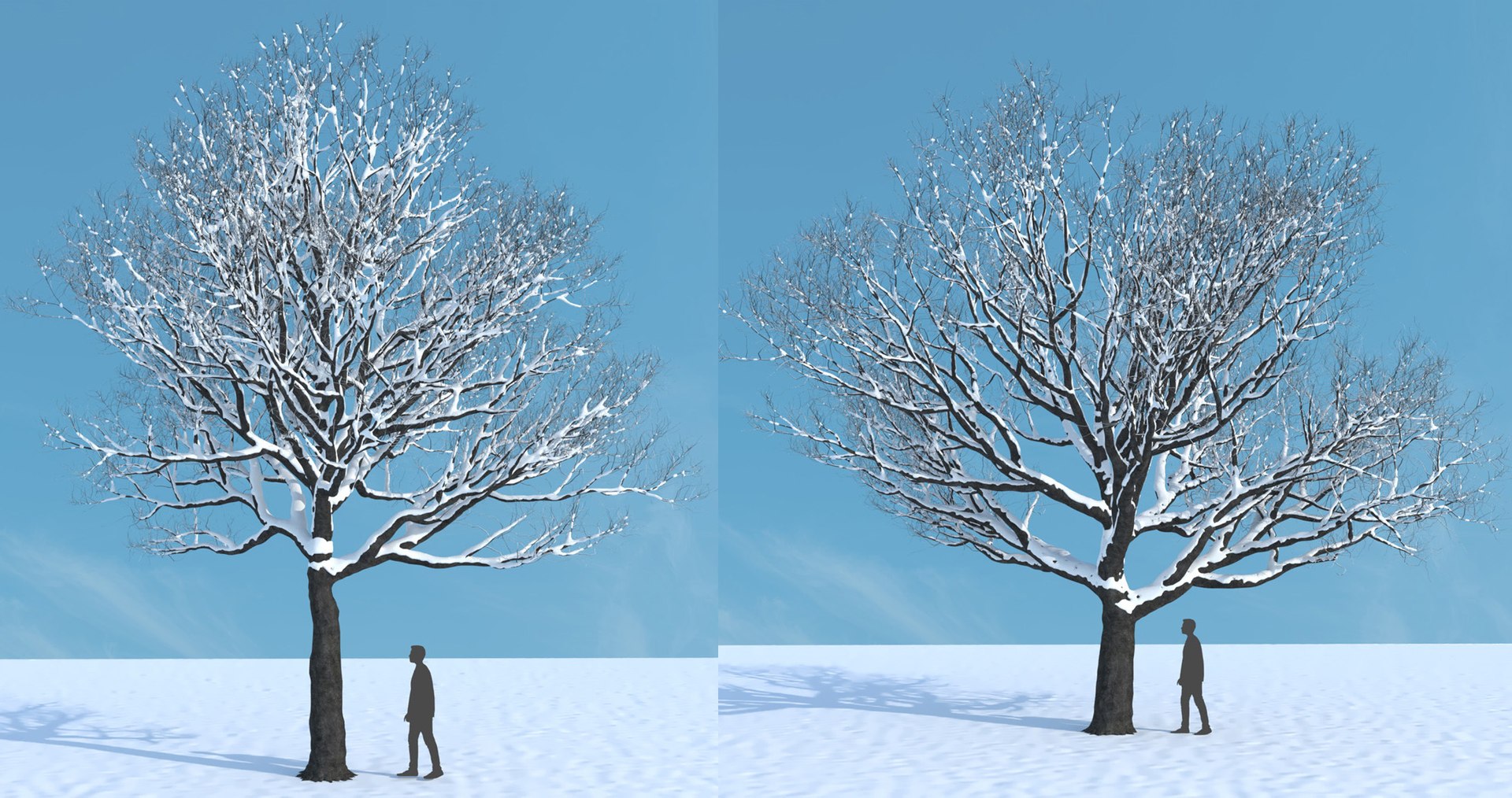 tree 3D https://p.turbosquid.com/ts-thumb/3j/7S9MTI/1o25iZ1M/elevn_tree_iv_8/jpg/1583522092/1920x1080/fit_q87/46274f928994b5f0f01e2a7e8abe6fc047adcb79/elevn_tree_iv_8.jpg
