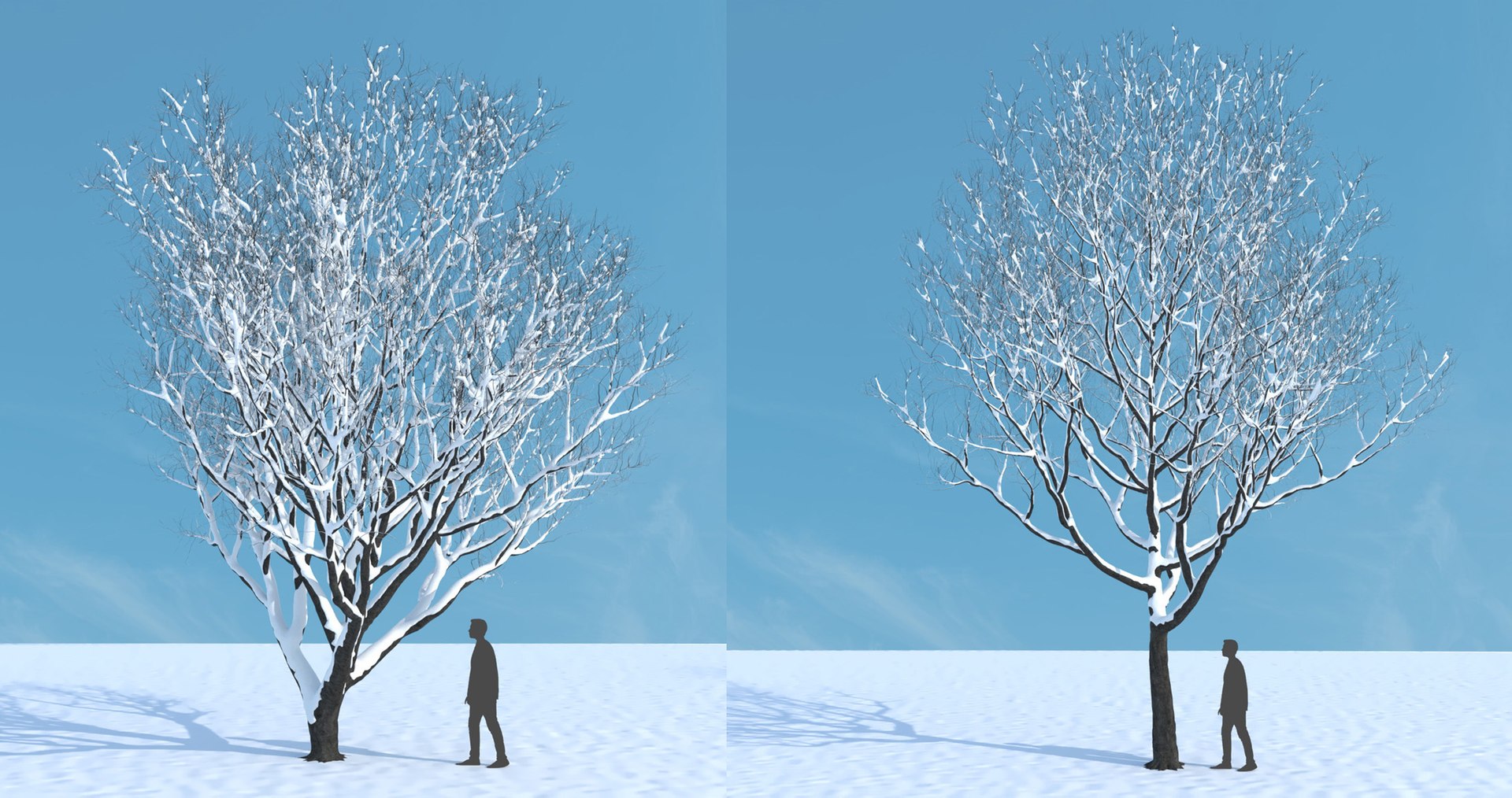 tree 3D https://p.turbosquid.com/ts-thumb/3j/7S9MTI/2zu7u3wc/elevn_tree_iv_14/jpg/1583522100/1920x1080/fit_q87/fb006b10830cdf1793ced6b0120018bd8f83e587/elevn_tree_iv_14.jpg