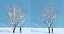 Eleven Trees 4 (+Growfx)