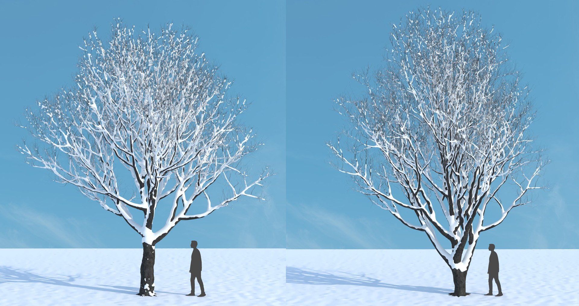 tree 3D https://p.turbosquid.com/ts-thumb/3j/7S9MTI/7LQv6zht/elevn_tree_iv_12/jpg/1583522092/1920x1080/fit_q87/f605b340af4c9ece03b340a1af36e10b4039fc96/elevn_tree_iv_12.jpg