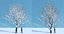 Eleven Trees 4 (+Growfx)