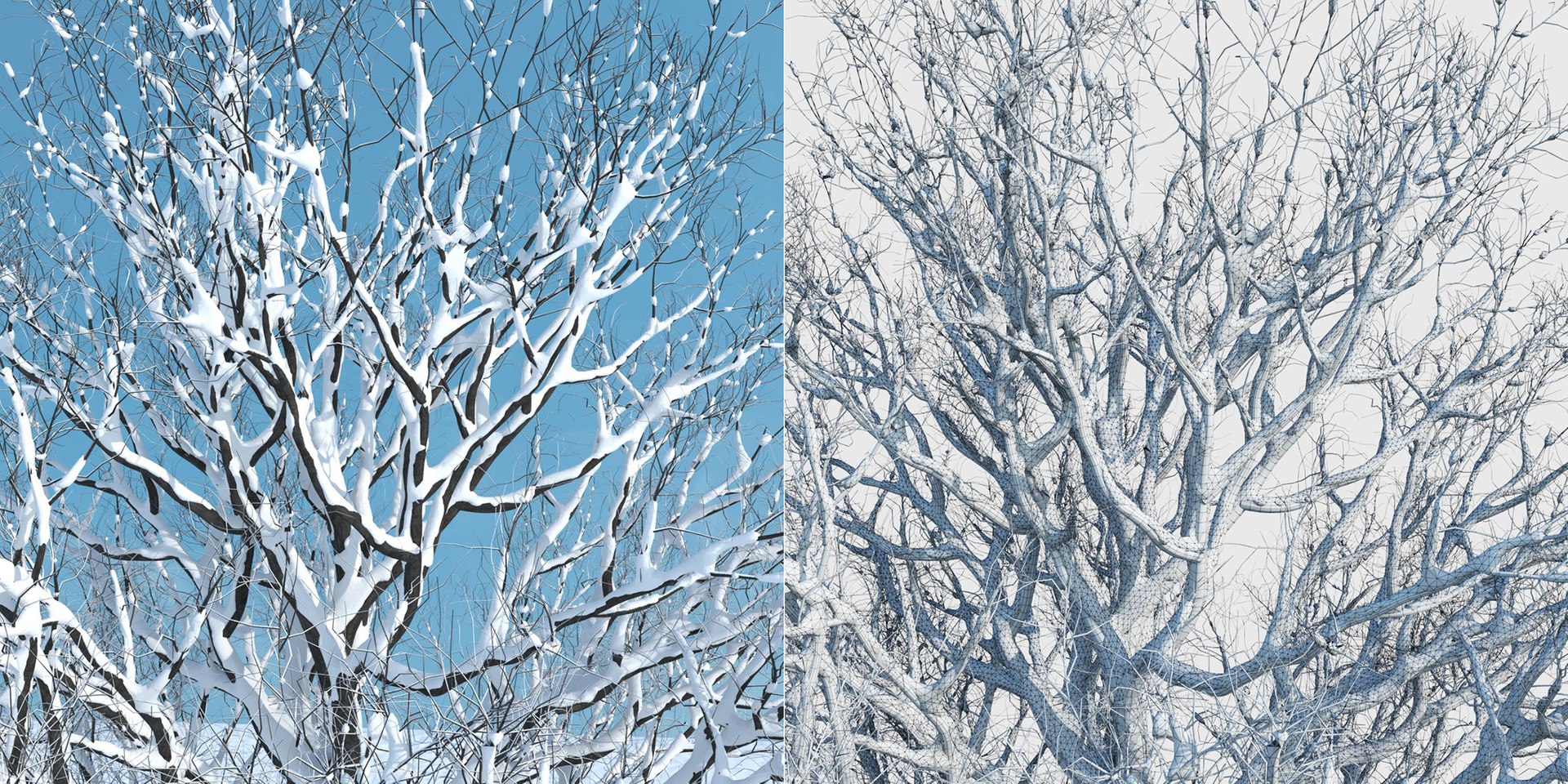 tree 3D https://p.turbosquid.com/ts-thumb/3j/7S9MTI/Ac5DYTX0/elevn_tree_iv_4/jpg/1583522079/1920x1080/fit_q87/8b7642dea5b6a9eda93ce8faf5b95547ceae312c/elevn_tree_iv_4.jpg