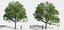 Eleven Trees 4 (+Growfx)
