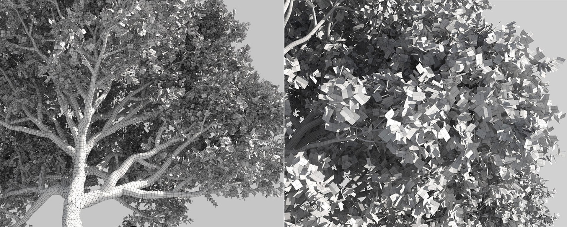 tree 3D https://p.turbosquid.com/ts-thumb/3j/7S9MTI/FZ7kDNas/11_tree17/jpg/1583522071/1920x1080/fit_q87/e98d7d8cfc4d3cb2ac531eaeaaa5736fd95f87fc/11_tree17.jpg