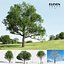 Eleven Trees 4 (+Growfx)