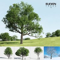 Eleven Trees 4 (+Growfx)