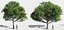 Eleven Trees 4 (+Growfx)