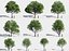 Eleven Trees 4 (+Growfx)