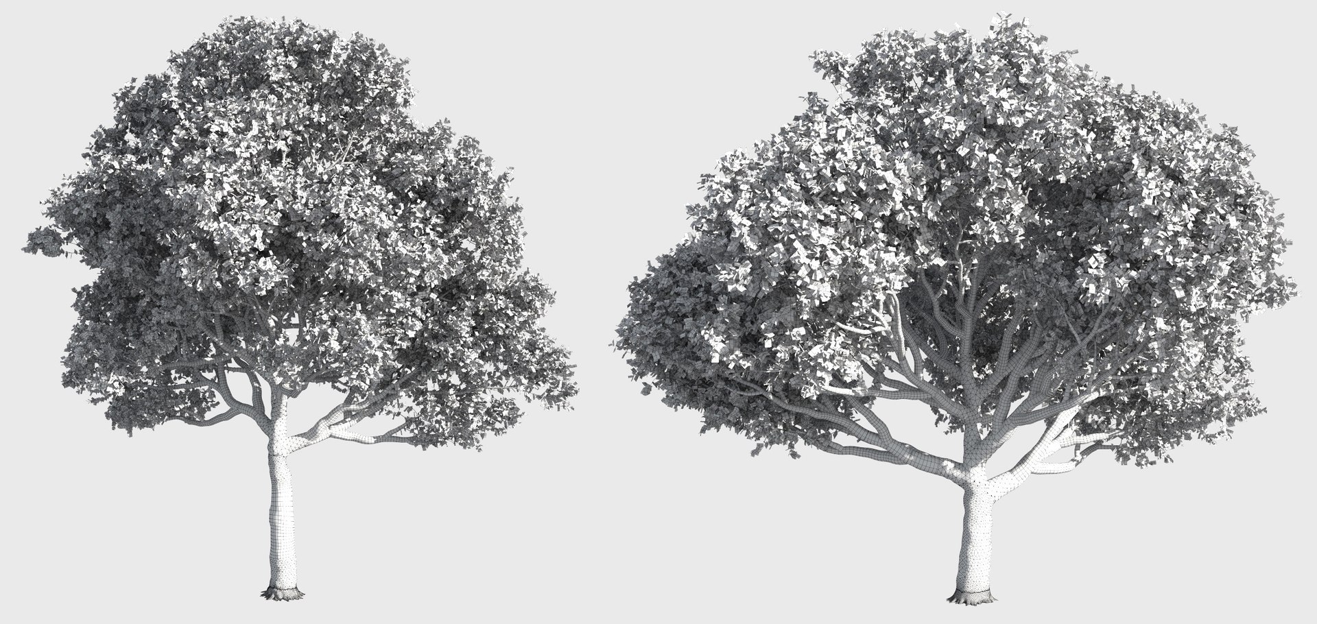 tree 3D https://p.turbosquid.com/ts-thumb/3j/7S9MTI/i7MVrAeR/11_tree19/jpg/1583522071/1920x1080/fit_q87/ef8c49742d14128cf948cea69e2134d625d24b55/11_tree19.jpg