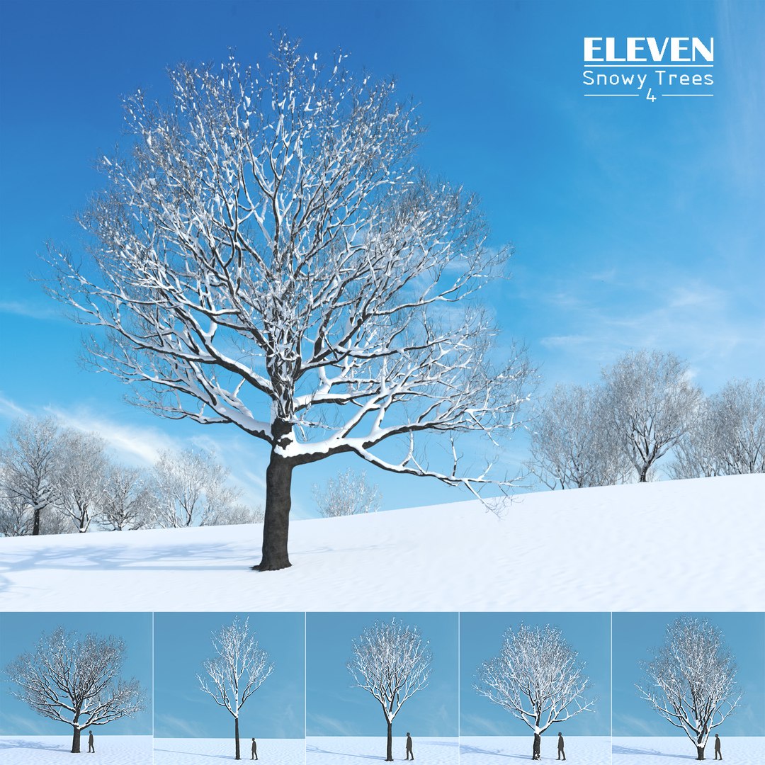 tree 3D https://p.turbosquid.com/ts-thumb/3j/7S9MTI/p3jgwXT0/elevn_tree_iv_1/jpg/1583521994/1920x1080/fit_q87/c8adacb73a36f6c582316181d0e856d886b32265/elevn_tree_iv_1.jpg
