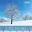 Eleven Trees 4 (+Growfx)