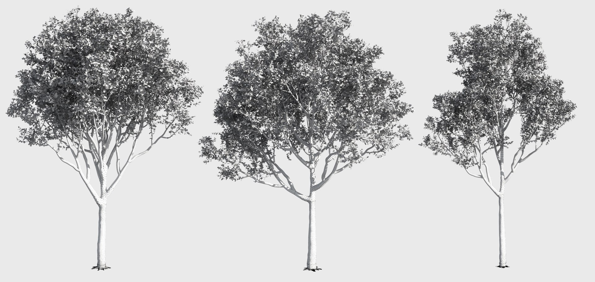 tree 3D https://p.turbosquid.com/ts-thumb/3j/7S9MTI/pF4HsdXq/11_tree23/jpg/1583522071/1920x1080/fit_q87/6784cb3609fe6667b3fff899dab79f9407ad6e96/11_tree23.jpg