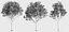 Eleven Trees 4 (+Growfx)