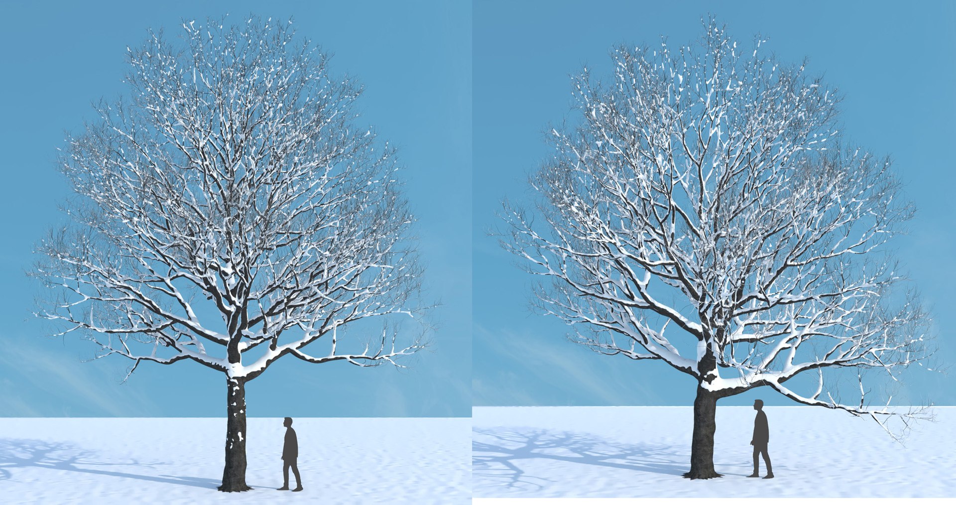 tree 3D https://p.turbosquid.com/ts-thumb/3j/7S9MTI/pGfczVOH/elevn_tree_iv_10/jpg/1583522092/1920x1080/fit_q87/4343d99b6575d2b6557ffe37f76b0d5e038f47ab/elevn_tree_iv_10.jpg