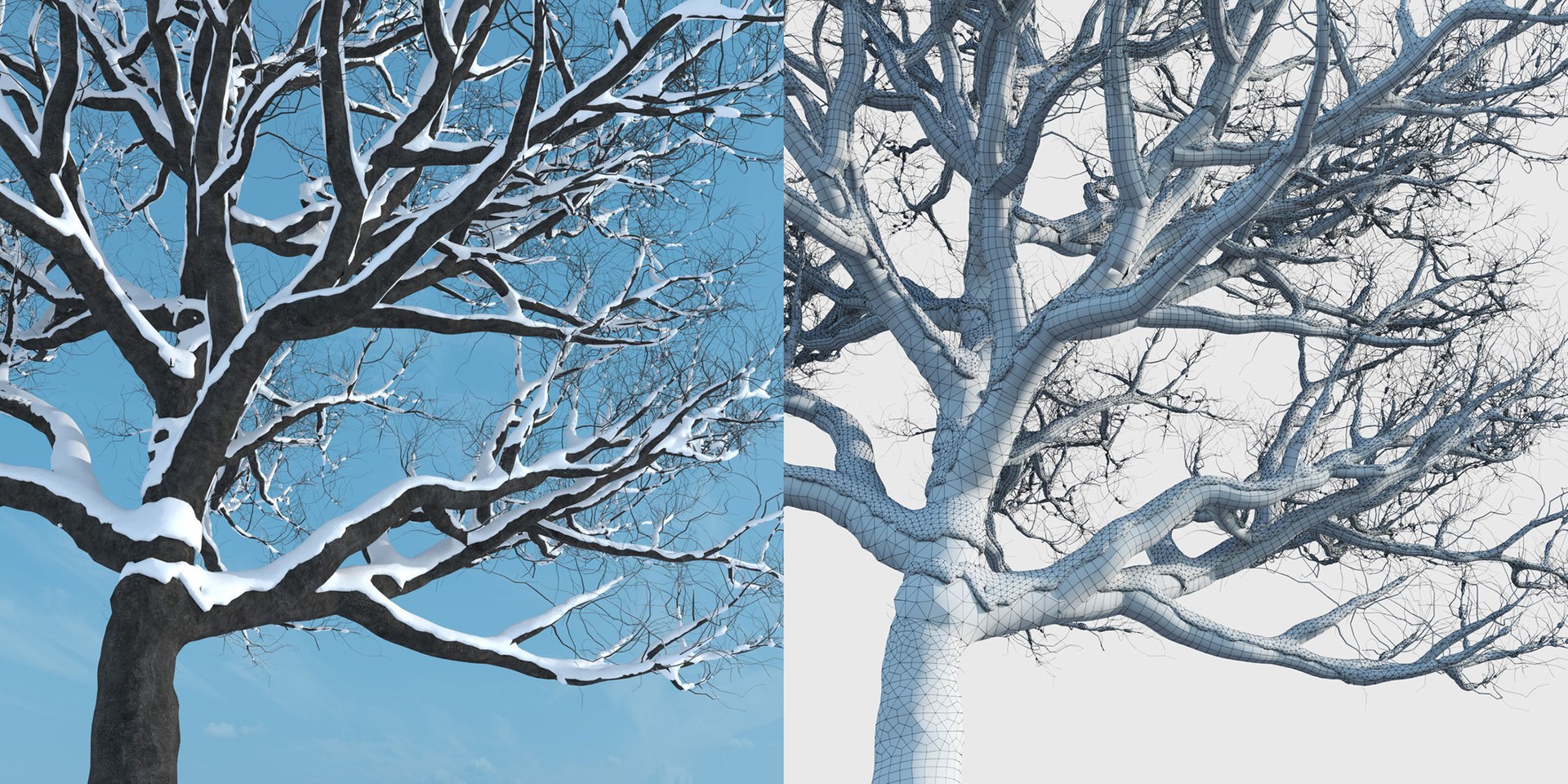 tree 3D https://p.turbosquid.com/ts-thumb/3j/7S9MTI/qZbDOnfP/elevn_tree_iv_6/jpg/1583522079/1920x1080/fit_q87/062429ca79d4d266c46e4a35655791a7424c12a4/elevn_tree_iv_6.jpg