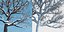 Eleven Trees 4 (+Growfx)