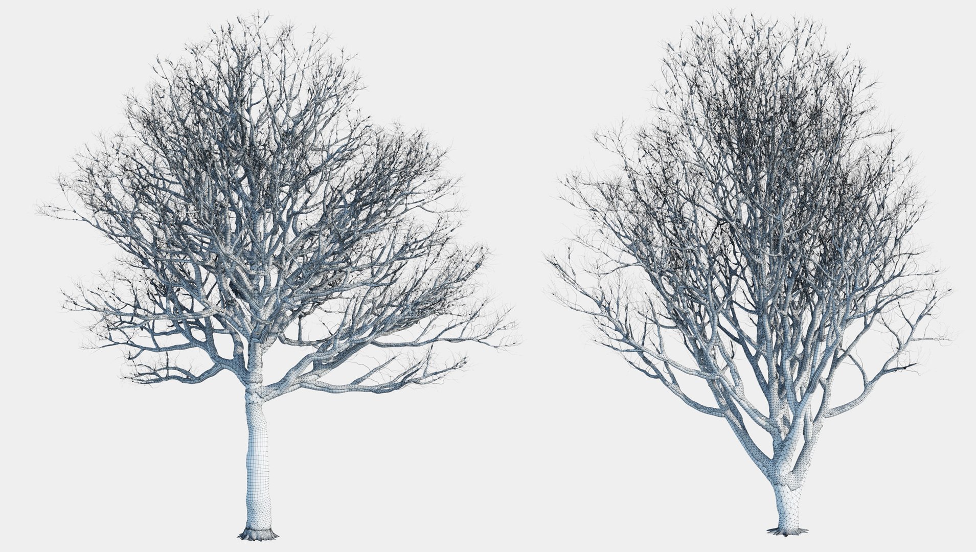 tree 3D https://p.turbosquid.com/ts-thumb/3j/7S9MTI/r0GWkHPf/elevn_tree_iv_19/jpg/1583522105/1920x1080/fit_q87/499a462c549fb0568583b23e65b8243bf6348622/elevn_tree_iv_19.jpg