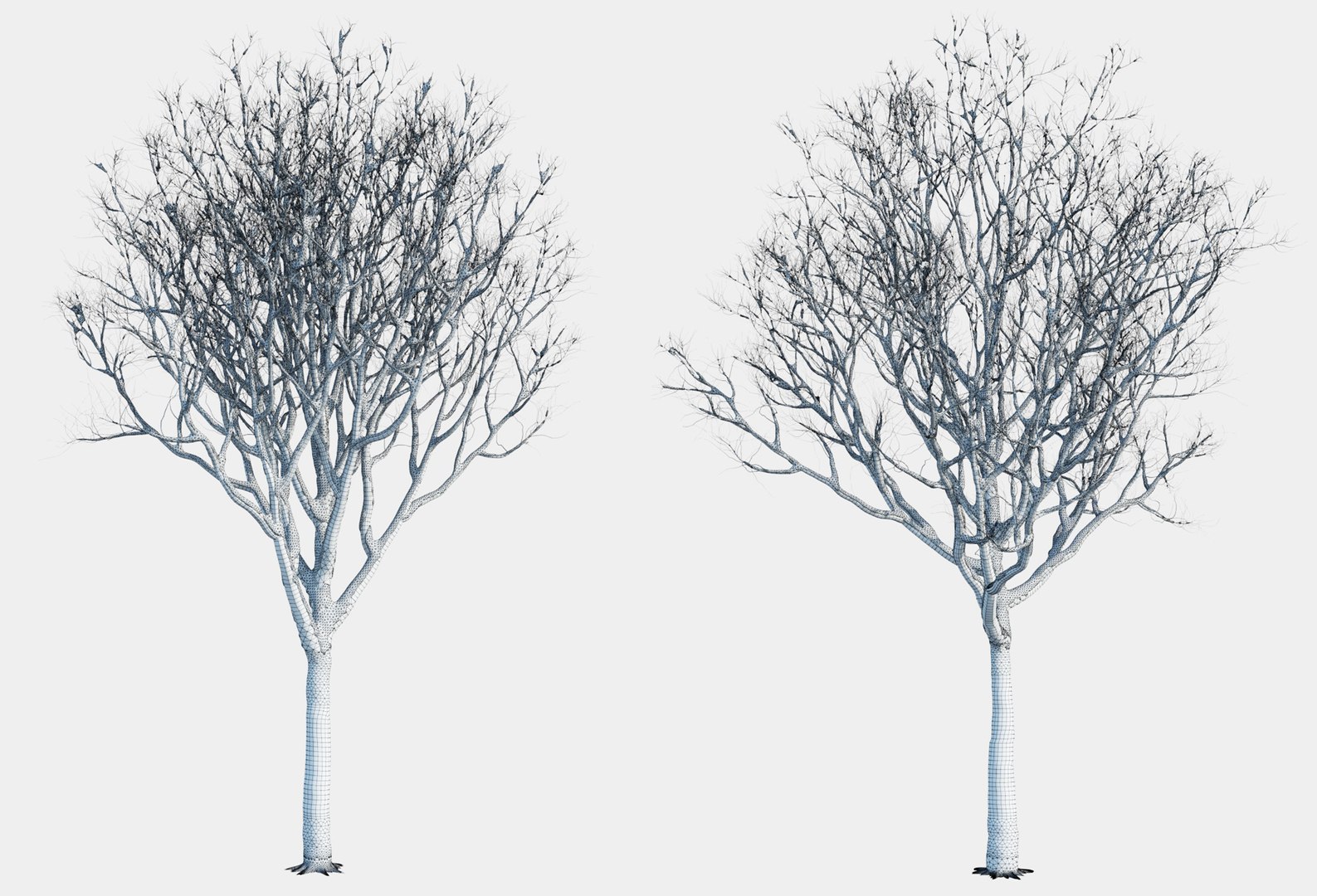 tree 3D https://p.turbosquid.com/ts-thumb/3j/7S9MTI/s2WM0vQU/elevn_tree_iv_27/jpg/1583522105/1920x1080/fit_q87/1ff1a8ecec009324036f0e0031ee09d07ab49887/elevn_tree_iv_27.jpg