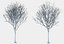 Eleven Trees 4 (+Growfx)