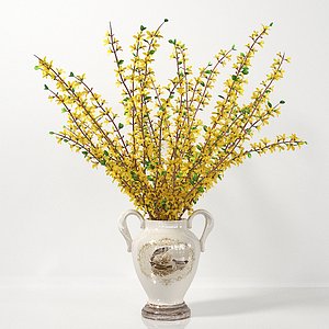 Forsythia 04