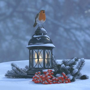 3D Robin Christmas Bird model