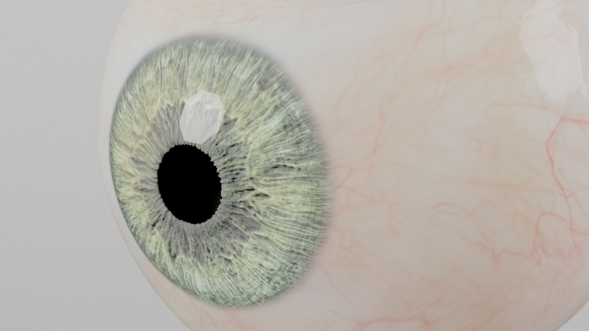 Photorealistic Human Eye High Quality Multicolor And Animated 3D Model ...