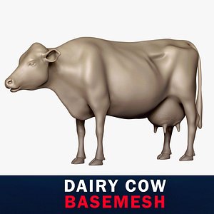 3D Dairy Cow Base Mesh 3D