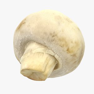 3D model Champignon Mushroom